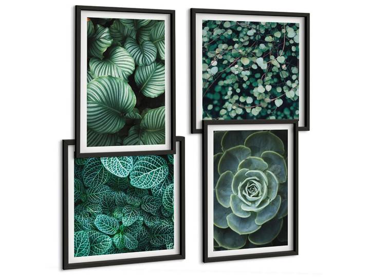 BILDER SET 4er Set - 50x50 cm & 40x60 cm Schwarzer Rahmen - Grüne Blätter von eleganten Sukkulenten