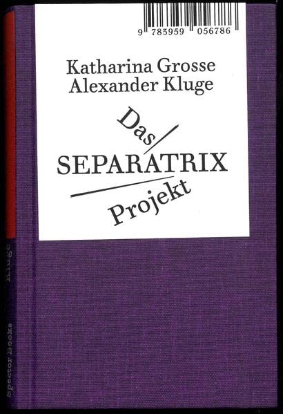 Alexander Kluge - Alexander Kluge/Katharina Grosse Das SEPARATRIX Project - Preis vom 30.09.2026 09:01:18 h