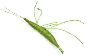 Uplift Picks Woolen Prawn Catnip Cat Toy For Chewing Kicking And Play green