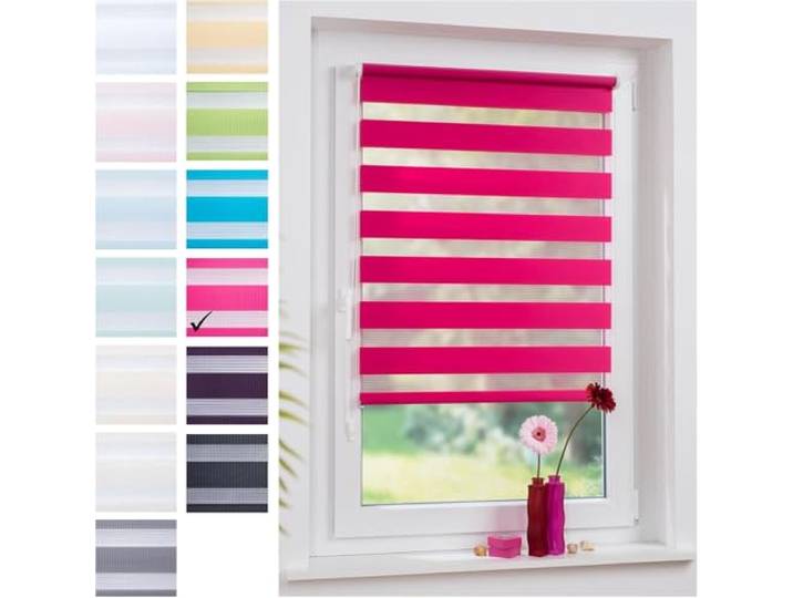 Liedeco® Duo Rollo Klemmfix - 45 x 160 cm Red Magnolia/lichtdurchlässig/stufenlos verstellbar/leichte Innen-Montage ohne Bohren mit Klemmträgern