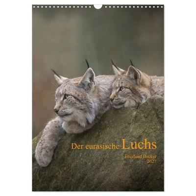 Der eurasische Luchs (Wandkalender 2027 DIN A3 hoch), CALVENDO Monatskalender