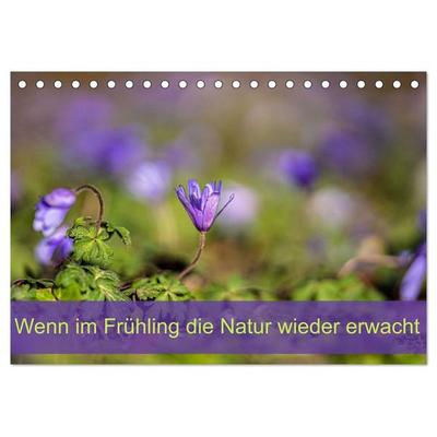 Wenn im Frühling die Natur wieder erwacht (Tischkalender 2026 DIN A5 quer), CALVENDO Monatskalender