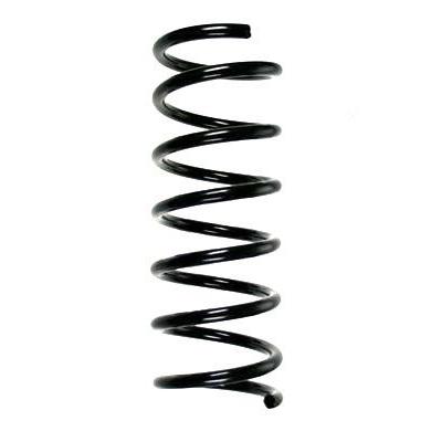 SPIDAN Fahrwerksfeder 85872 Hinterachse für Ford