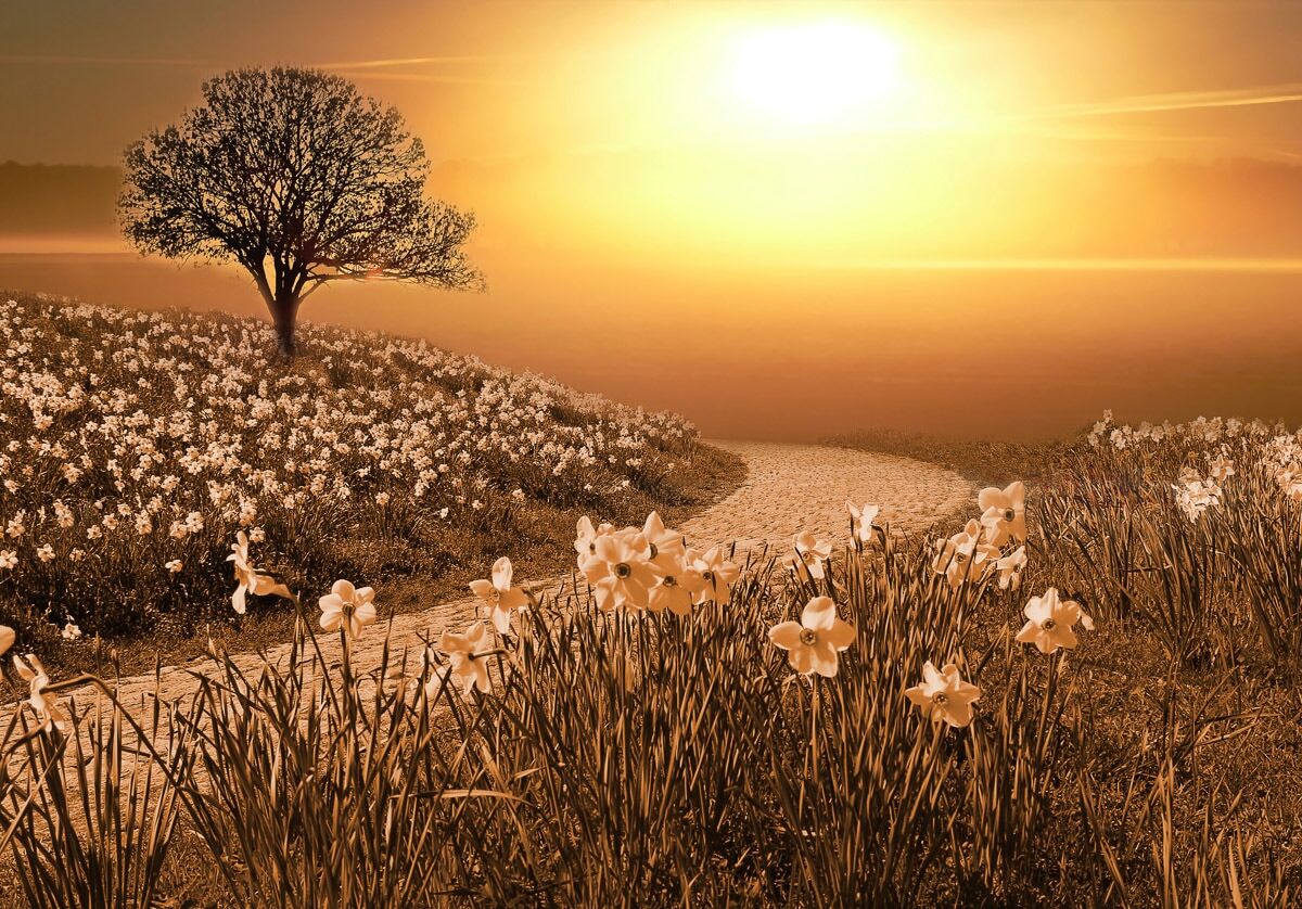 Fototapete PAPERMOON "Magische Landschaft", bunt, B:3,5m L:2,6m, Vlies, Tapeten, Fototapete bunt B/L: 3,5m x 2,6m, Bahnen: 7 Stk.