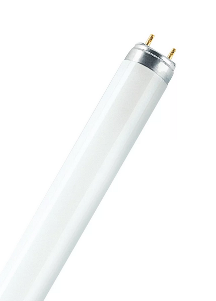 OSRAM LAMPE OSRAM LUMILUX T8, 36 W, L 36W/865 6500 K, 1200 mm