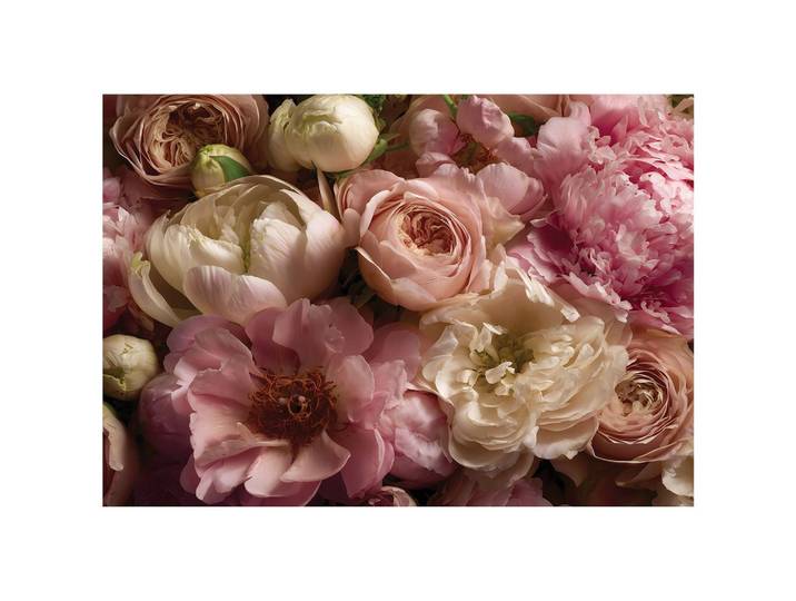 FOTOTAPETE Blumen Pfingstrosen Rosa 250x175 cm
