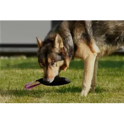 Hundespielzeug | Wurfspiel mit Griff | Apportier-Dummy | Größe L für mittelgroße bis große Hunde | OEKO-TEX® Standard 100