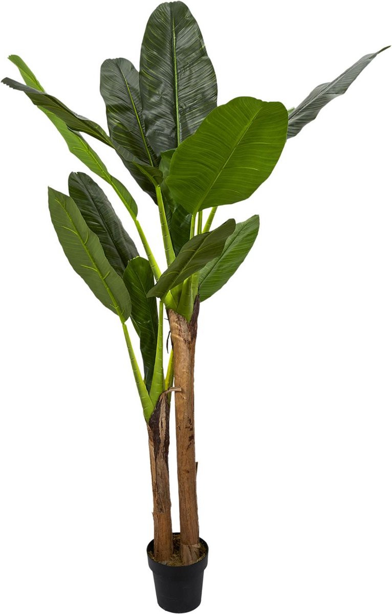 Naturn Living Kunstplant Musa – Grote Bananenplant – Groen – Ø45 x 160 cm