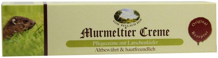 Vom Pullach Hof Murmeltier Creme mit Latschenkiefer