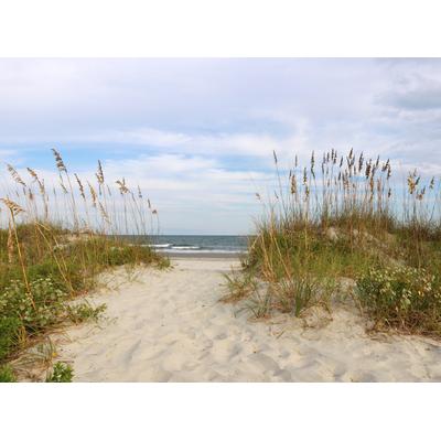 Fototapete PAPERMOON "Dunes Huntington Beach", bunt, B:2m L:1,49m, Vlies, Tapeten