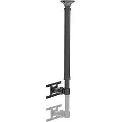 Neomounts Fpma-C100 (Decke, 30", 12 kg), Monitor Halterung, Schwarz