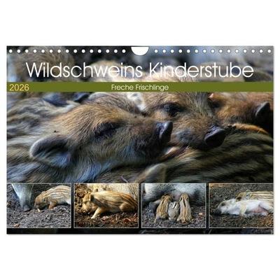 Wildschweins Kinderstube - Freche Frischlinge (Wandkalender 2026 DIN A4 quer), CALVENDO Monatskalender