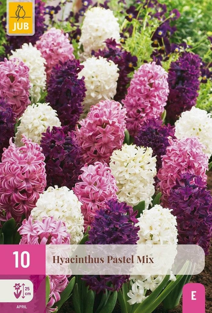 Jub Hyacint bollen pastel mix 10 stuks