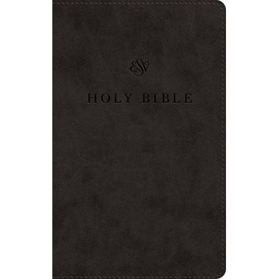ESV Premium Church Bible, Large Print, Red Letter (Trutone, Black), Gebundene Ausgabe von Esv Bibles, Crossway