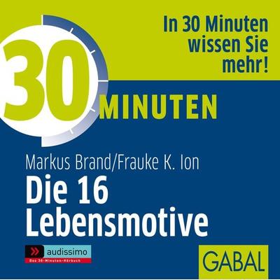 30 Minuten Die 16 Lebensmotive - Markus Brand,Frauke K. Ion, Audio, 9783862005819