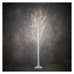 Luca Lighting, Gartenbeleuchtung, Birch white 750led w/timer