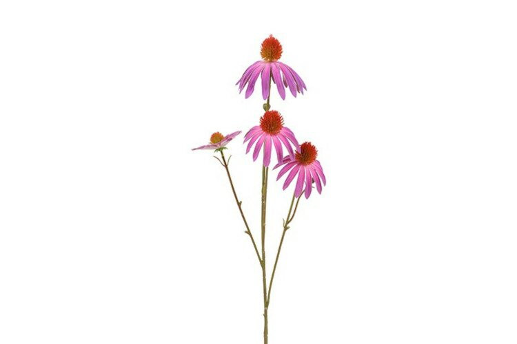 Countryfield zijden Echinacea paars 77 cm