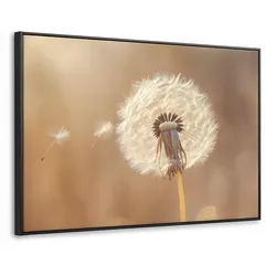 LEINWAND Bilder mit Rahmen - Löwenzahn - Beige - Natur - Blume - 140x90