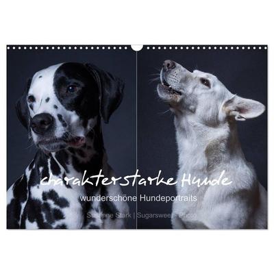 charakterstarke Hunde, wunderschöne Hundeportraits (Wandkalender 2026 DIN A3 quer), CALVENDO Monatskalender