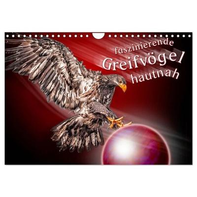Faszinierende Greifvögel hautnah (Wandkalender 2027 DIN A4 quer), CALVENDO Monatskalender