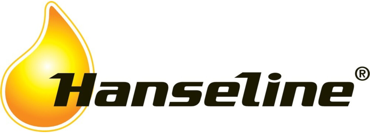 Graphit-Zerstäuber 100ml HANSELINE (300351)