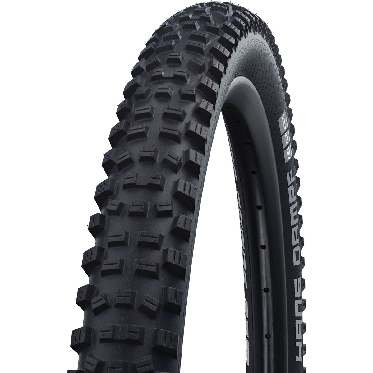 Schwalbe Hans Dampf Performance schwarz 60-507 SB11601118