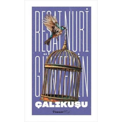 Calikusu, Taschenbuch von Resat Nuri Güntekin, Inkilap Kitabevi, 978-975-10-4723-6