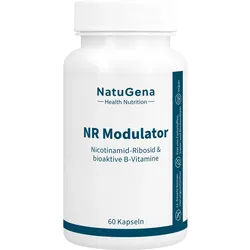 Nr Modulator Nicotinamid-Ribosid + B-Vitamine 60 ST
