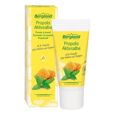 Propolis Aktivsalbe 30 ml Salbe