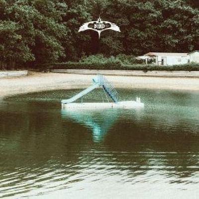 The Bird Experience - The Bird Experience, CD