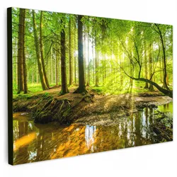 LEINWANDBILD Wald - Landschaft - Wasser - Bäume - Sonne - Grün - Natur Wanddeko 90x60 cm
