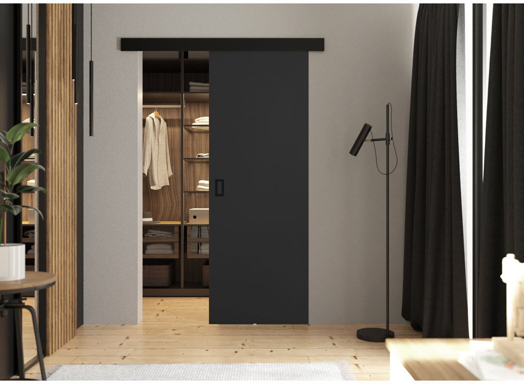 Brayden Studio Door Werdi 1 Graphite Grey 96 cm x 205cm