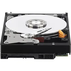 WD Purple 6TB WD60PURX (6 TB, 3.5"), Festplatte