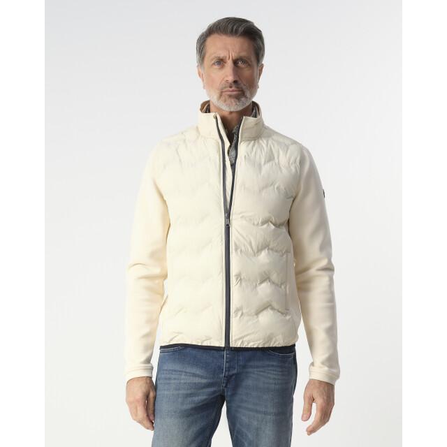 Campbell vest atlas