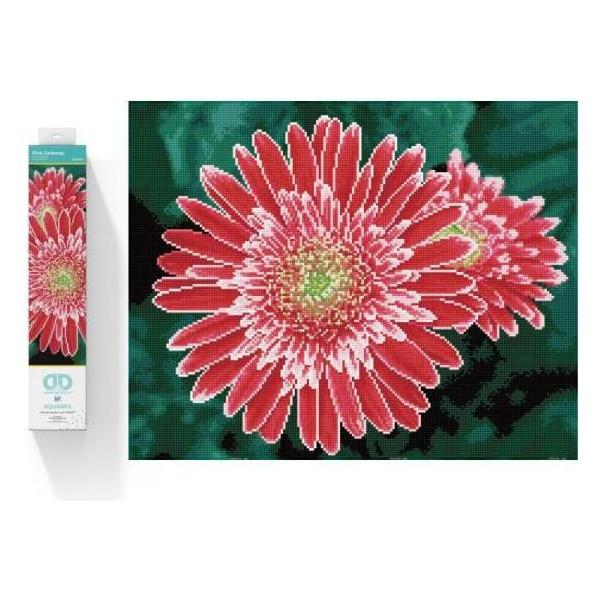 Diamond Dotz Diamond Stickerei Diamond Mosaik Gerbera Pink 58x48cm DQ10001 (018-DQ10001)