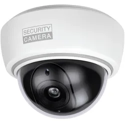 BASI 1000-0305 Kamera-Attrappe mit blinkender LED, Netzwerkkamera