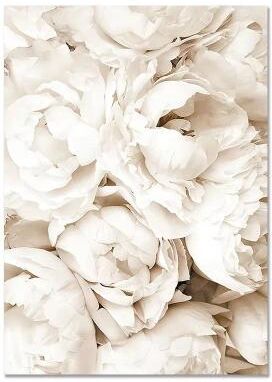 Inspired Finds Nordic White Shell Beach Dandelion Canvas Wall Art Minimalist Living Room Decor peony Cluster 11.81x15.75in