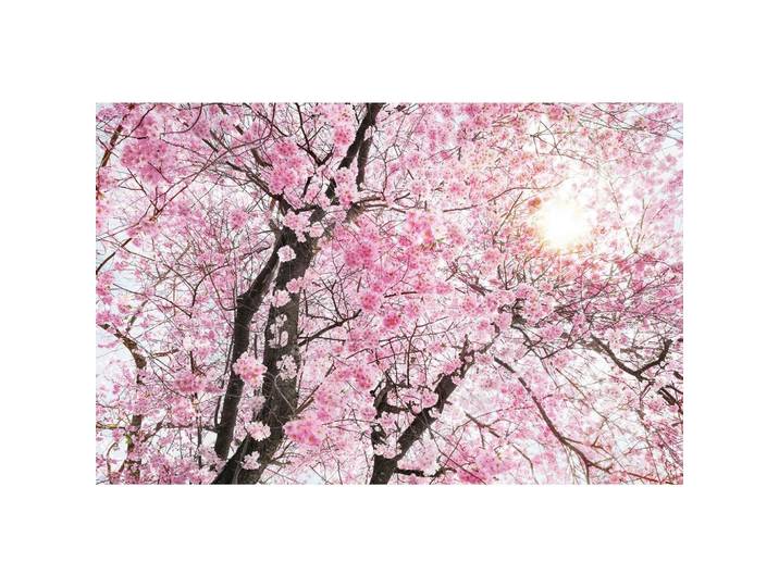 VLIESTAPETE BLOOM