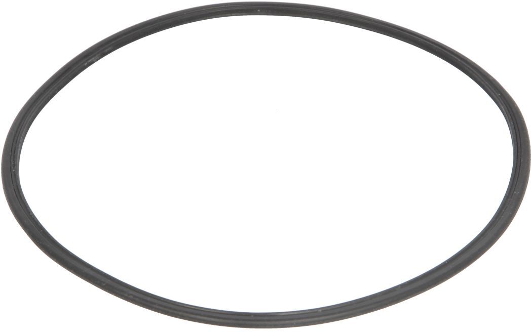 Zf O-ring, cambio 0501 320 477