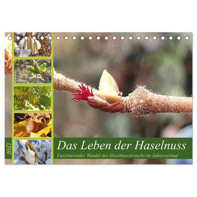 Das Leben der Haselnuss (Tischkalender 2027 DIN A5 quer), CALVENDO Monatskalender