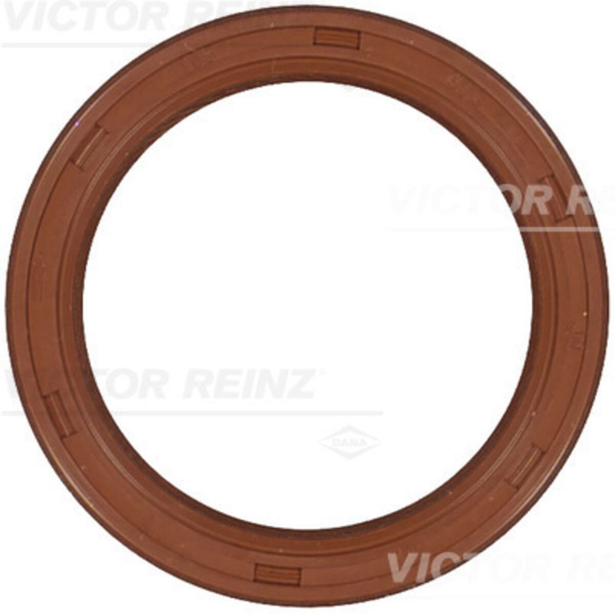 Victor Reinz Paraolio, albero motore REINZ 81-53592-00