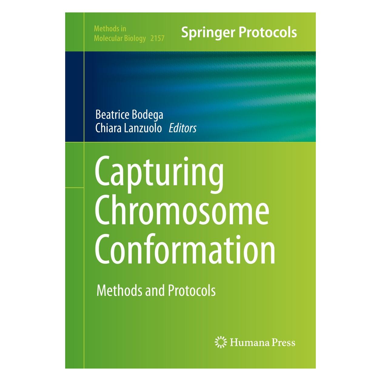 Springer Capturing Chromosome Conformation (Englisch, Hardcover, Beatrice Bodega, Chiara Lanzuolo) (9781071606636)