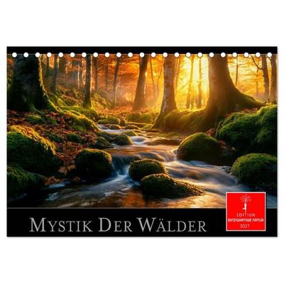 Mystik der Wälder (Tischkalender 2027 DIN A5 quer), CALVENDO Monatskalender