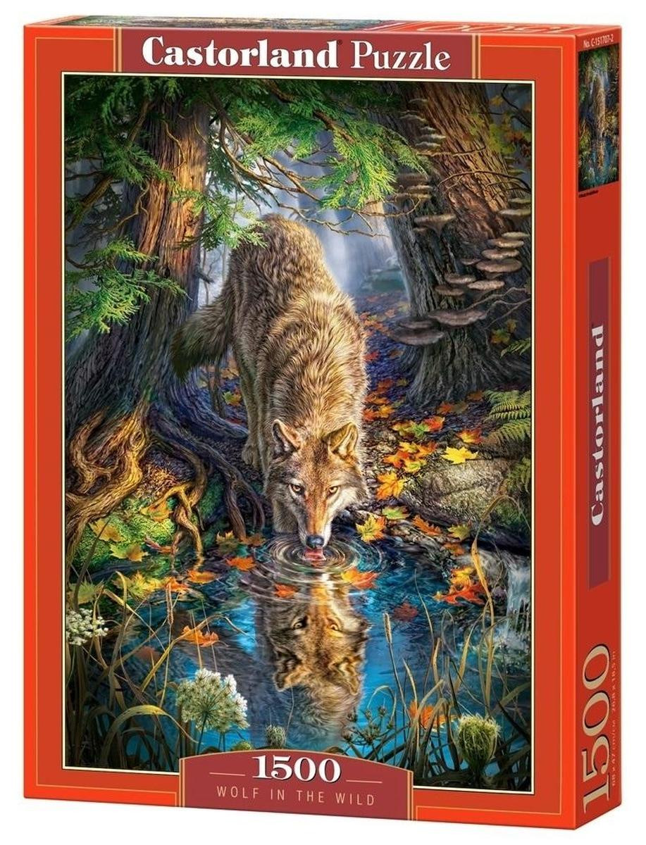 Castorland Wolf in the Wild Legpuzzel, 1500 stukken, Dieren, 9 jaar+