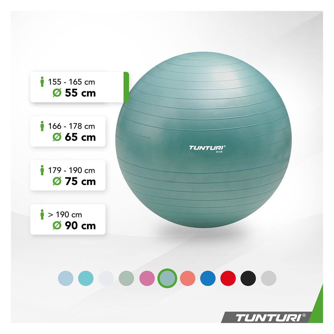 Tunturi Gym Ball (90 cm) (TUNTURI)
