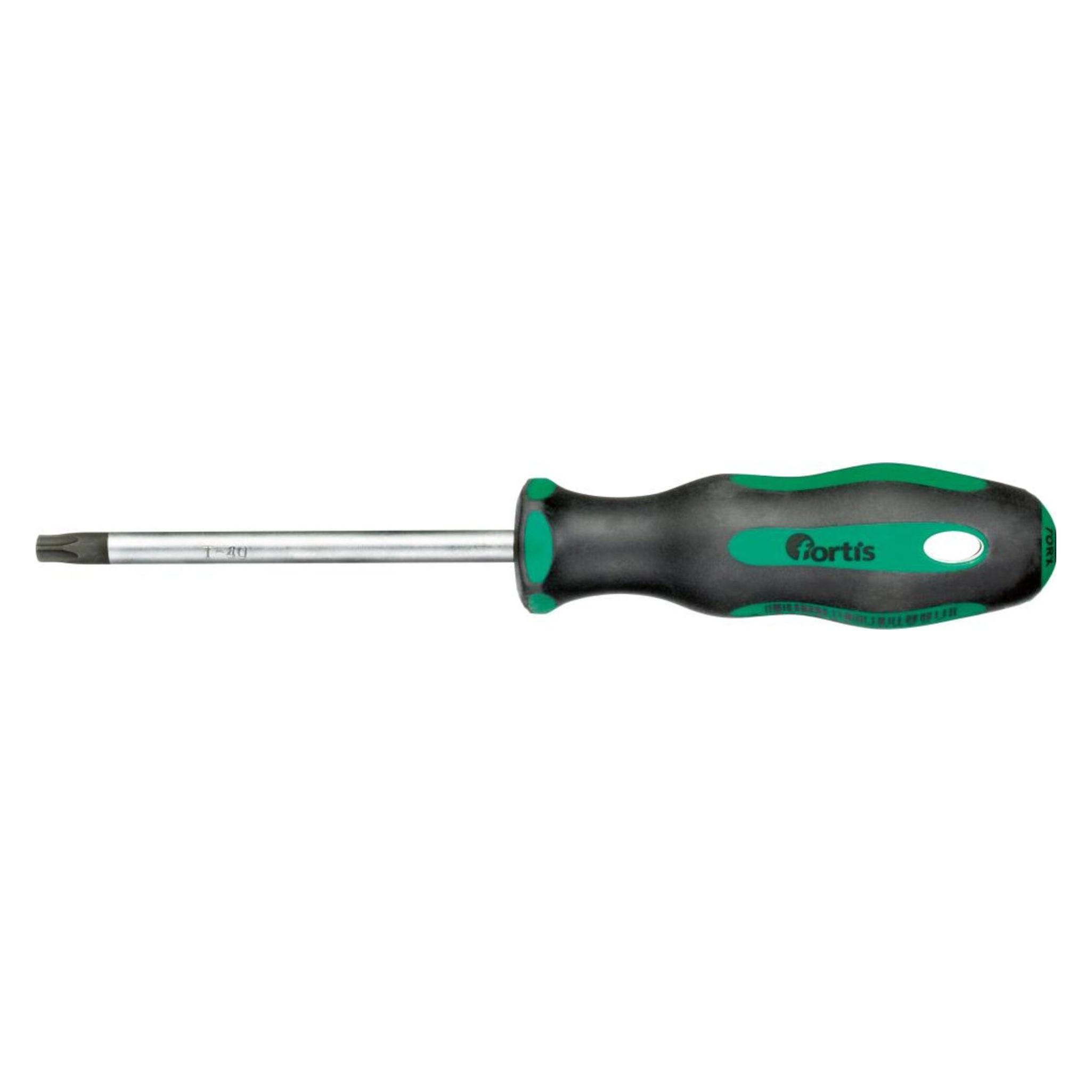 Magni Schraubendreher T40x100mm FORTIS (4317784708227)