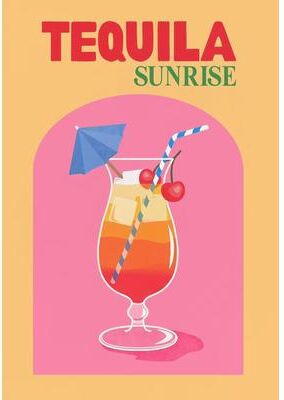 Inspired Finds Colorful Cocktail Canvas Wall Art Set Trendy Bar Cart Drink Posters tequila Sunrise Poster 19.69x27.56in