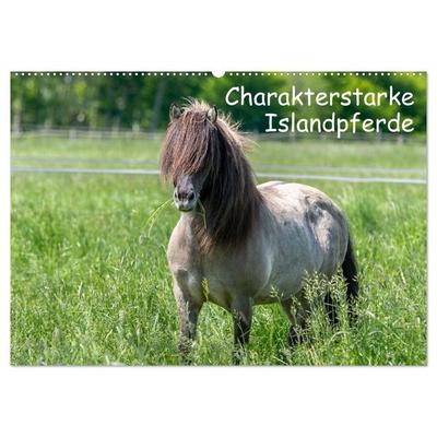 Charakterstarke Islandpferde (Wandkalender 2026 DIN A2 quer), CALVENDO Monatskalender