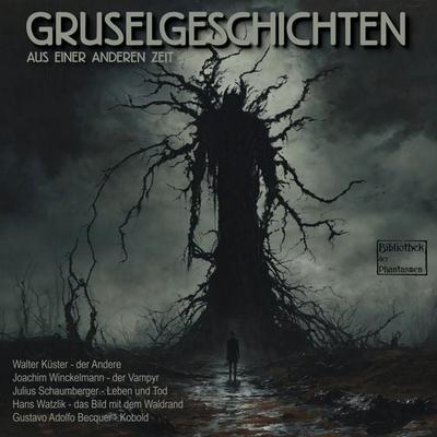 Gruselgeschichten aus einer anderen Zeit - Joachim Winckelmann,Julius Schaumberger,Hans Watzlik,Walter Küster,Gustavo A. Becquer, Audio, 4066004557311