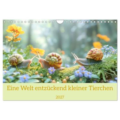 Eine Welt entzückend kleiner Tierchen (Wandkalender 2027 DIN A4 quer), CALVENDO Monatskalender